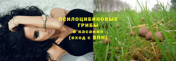 mix Вяземский