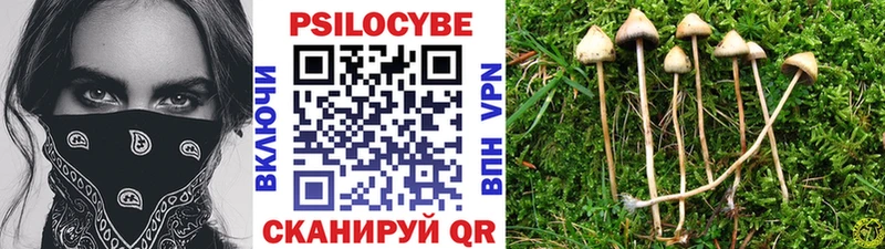 ОМГ ОМГ Печора Галлюциногенные грибы MAGIC MUSHROOMS